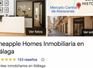 perfil google local
